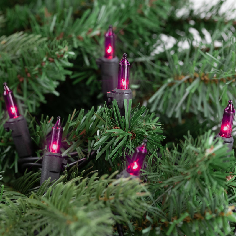 50-Count Mini Christmas Light Set 10ft Wire, Purple/Black