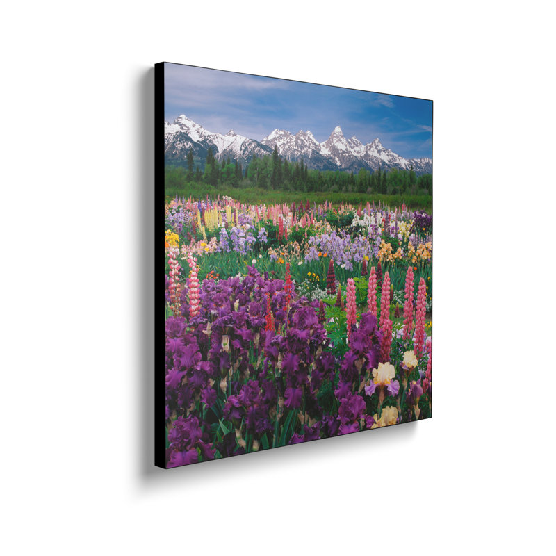 Reproduction d'art sur toile, Steemplix