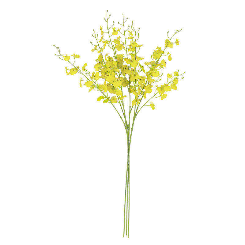 Vaporisateur d'orchidées dansantes, Jaune