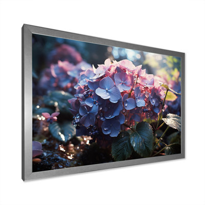 " Purple Hydrangea Field "