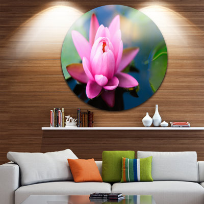 " Lotus Flower In The Pond "