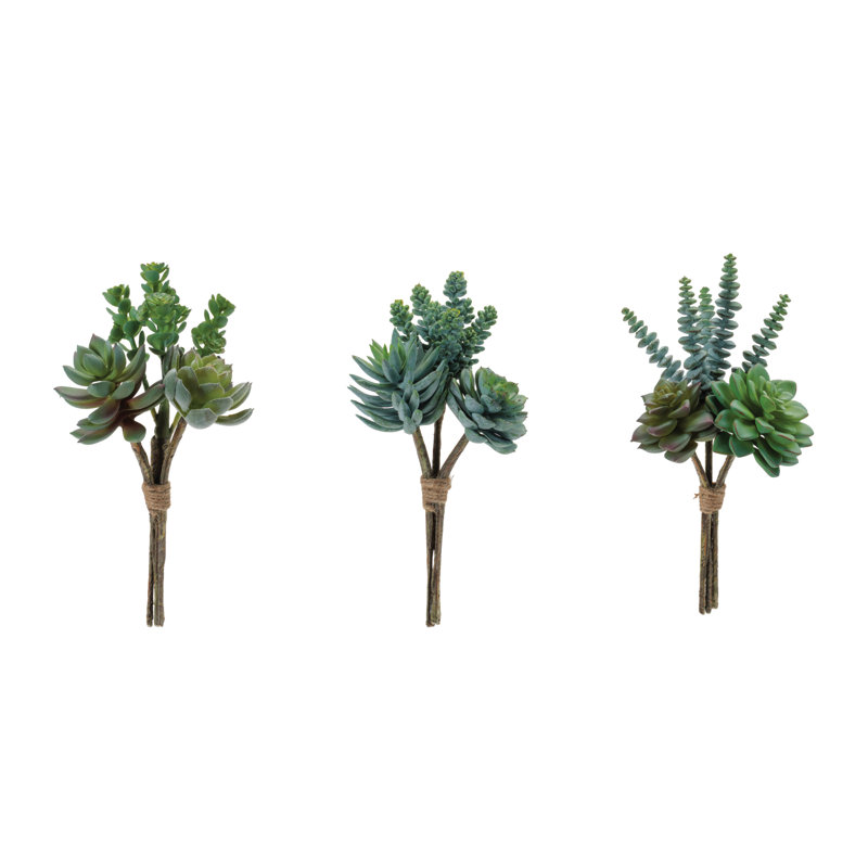 Ensemble de plantes grasses