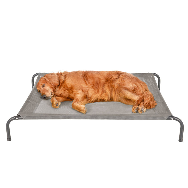 Elevated Cot Pet Bed, Gray, 8" H x 36" W x 49.5" D