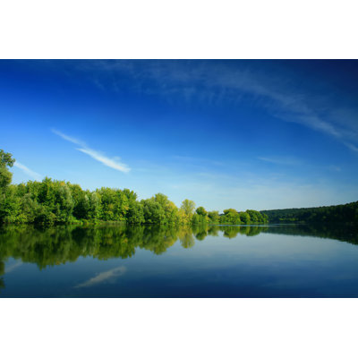 Forest Lake by Da-Kuk