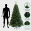Lighted Artificial Christmas Tree