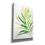 Bay Isle Home™ 'Colorful Tropical Leaf 2' by Danhui Nai Canvas Wall Art-2121940256