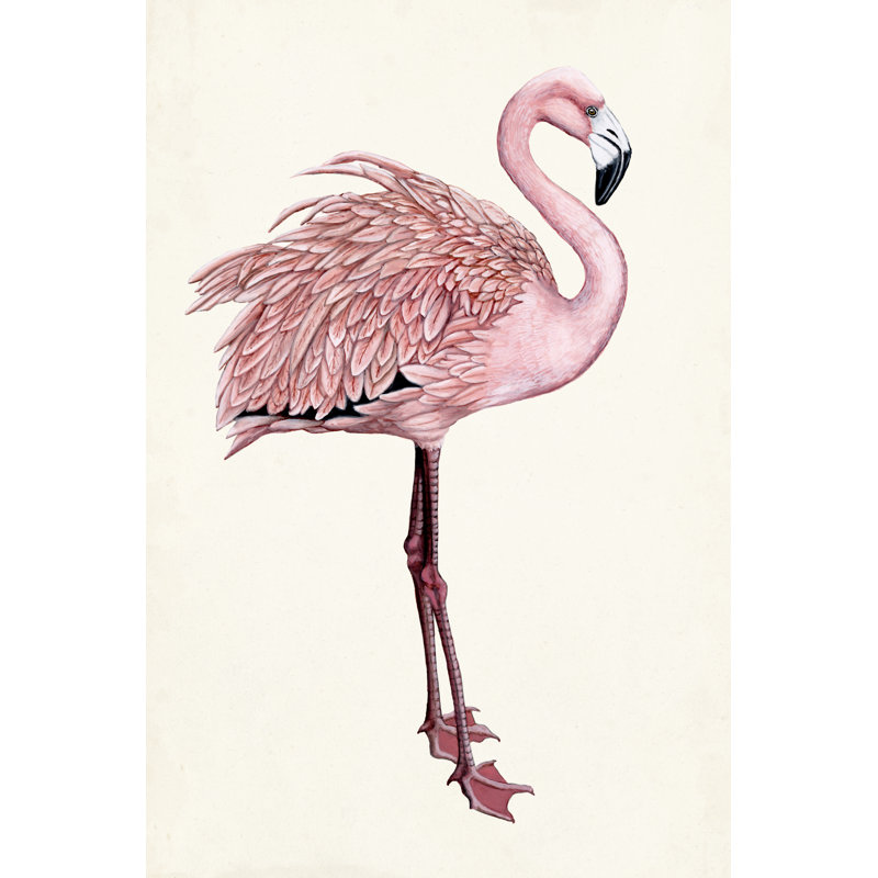 Striking Flamingo I by Naomi McCavitt - Wrapped Canvas Painting, 122cm H x 81cm W