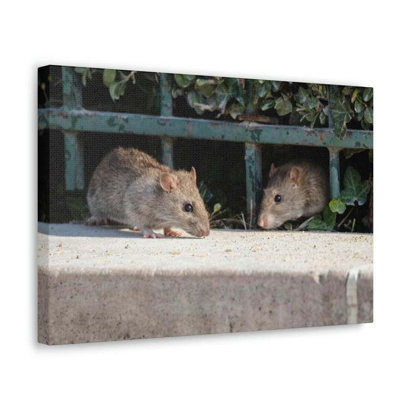 No Frame Print on Canvas
