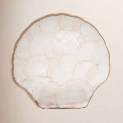 Capiz Shell Scallop Plates (Set of 4) – Coastal Decorative Plates with Gold Trim, 8"