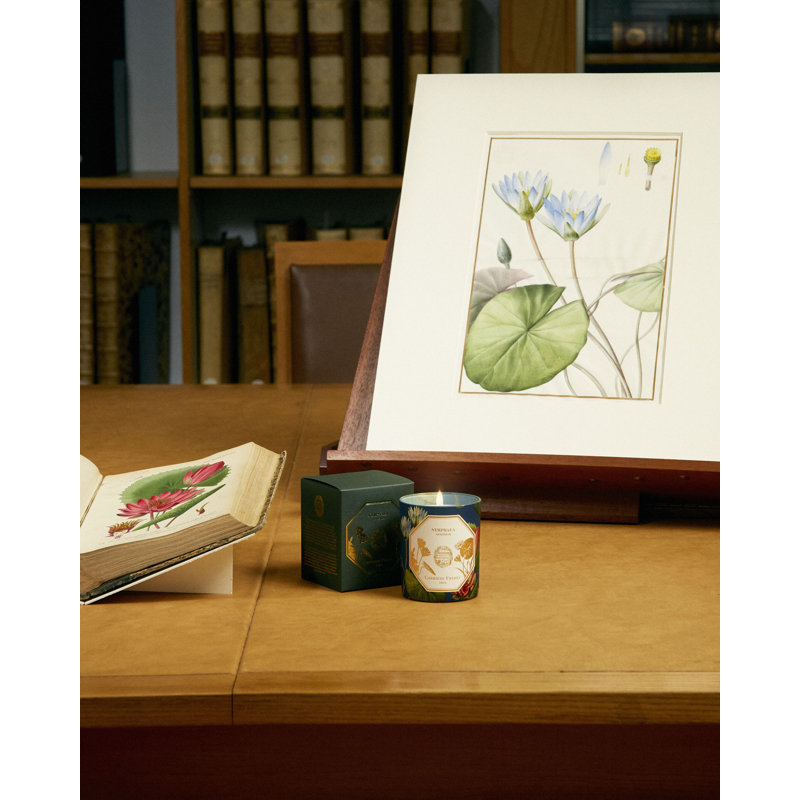 Nymphaea Candle