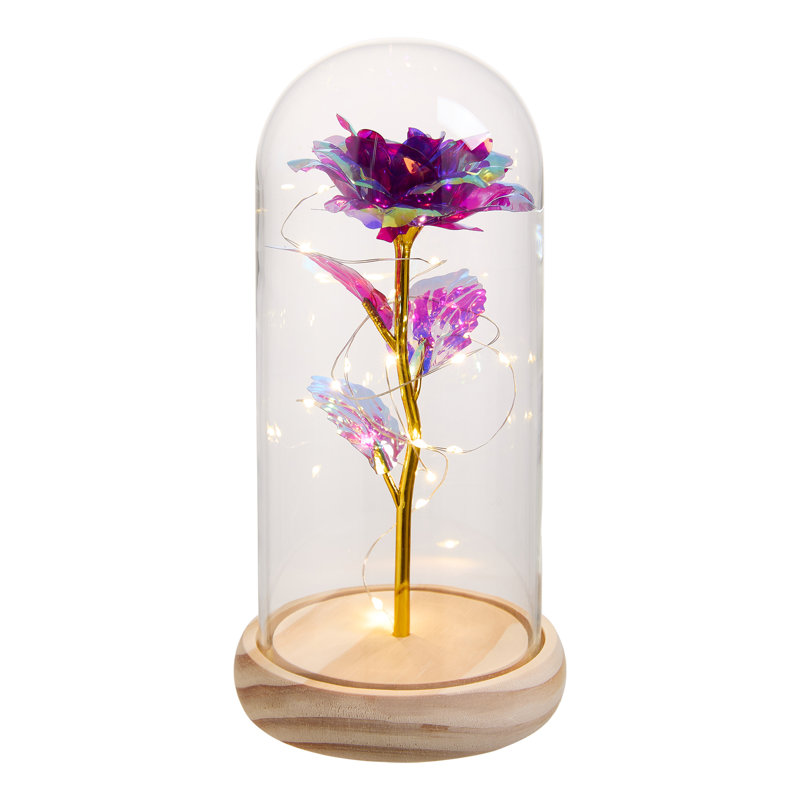 Cloche Or Water Globe, Golden/Purple