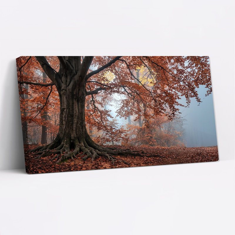 Grand arbre aux racines apparentes dans une forêt d'automne brumeuse - Tableau sur toile, L 46 po x H 24 po