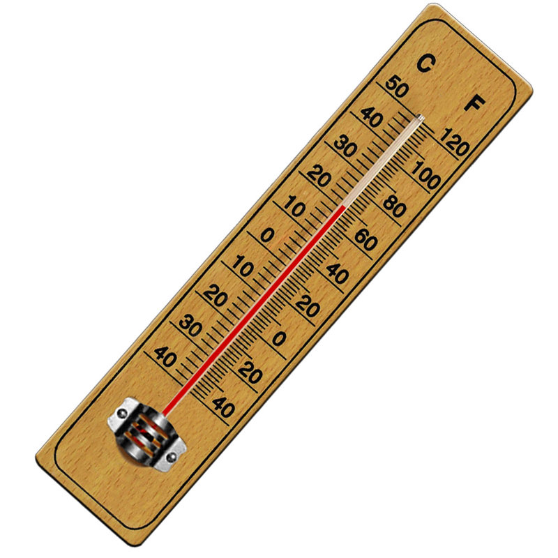 Mecham 22cm Wireless Outdoor Thermometer