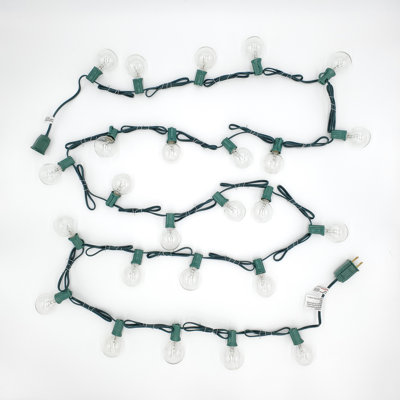 Electric String Lights with 25 Globe Bulbs