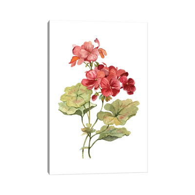 Scarlet Geranium 1 Piece Painting on Canvas