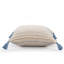 Housse de coussin Hainsly-87654920-101698620