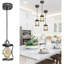 Luminaire suspendu industriel industriel gris argenté ajustable pour les espaces intérieurs dans la chambre à coucher, le sous-sol, le vestibule et le vestibule.
