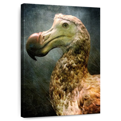 Brampt Beautiful Dodo Bird