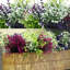 Magnolia Arrangement-662974377
