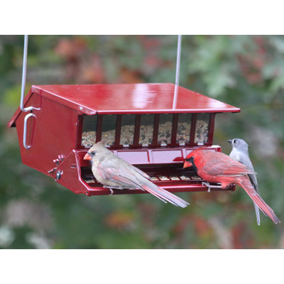 Mangeoire d’oiseaux à trémie