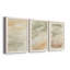 Garden Treillage Blueprint I - 3 Piece Picture Frame Set on Canvas-830601949-830601950