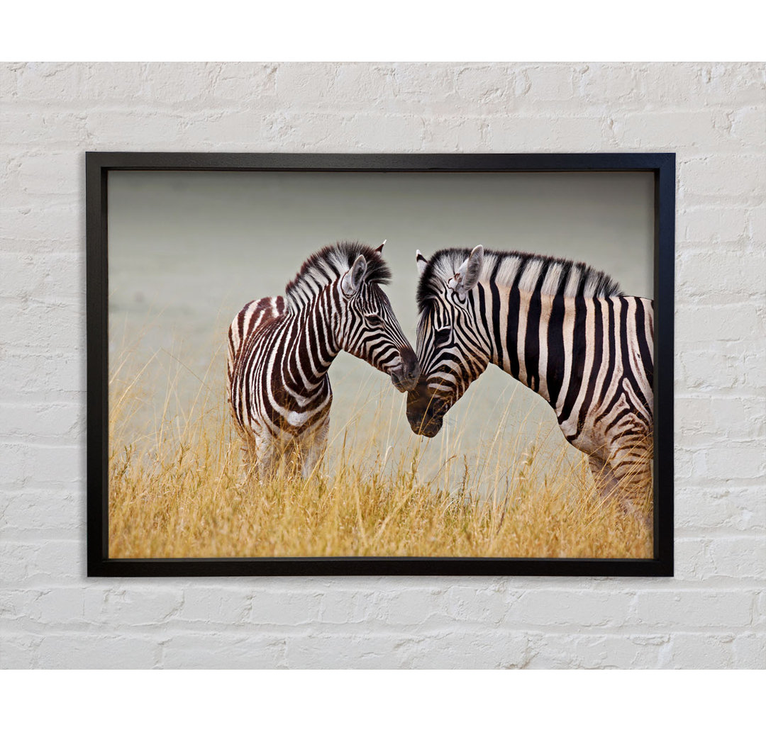 Mutter und Baby Zebra - Einzelner Bilderrahmen Kunstdrucke auf Leinwand