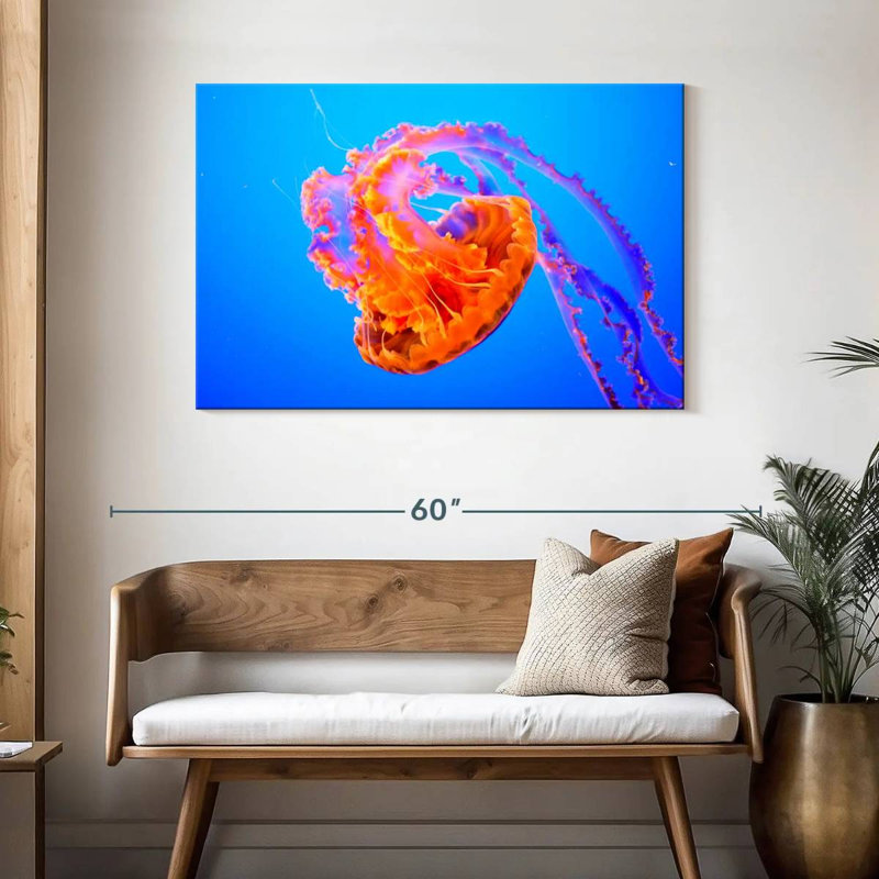 Somersault Brampt Jellyfish, H 30 po x l 45 po