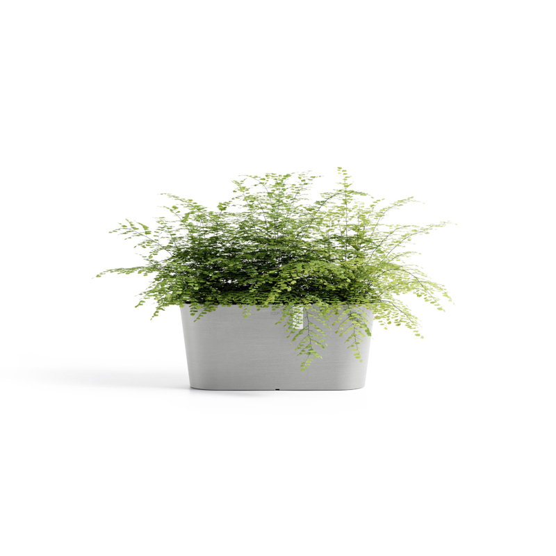 Pot Planter, 6.5" H x 15.75" W x 6.5" D, White Gray