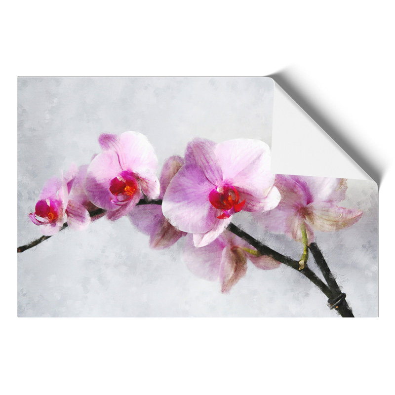 Orchid Flowers Vol.5 - No Frame Print, 42cm H x 59cm W x 0.1cm D