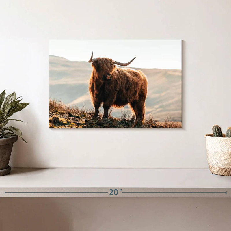 Vache Highland Isle of Skye, 8" H x 12" W