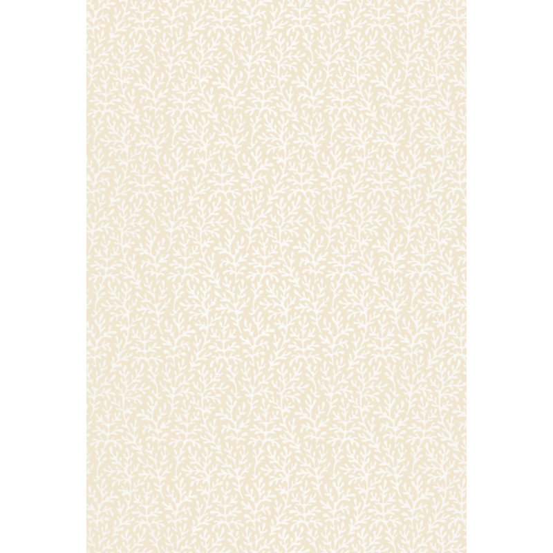 Sea Coral Wallpaper, Bone
