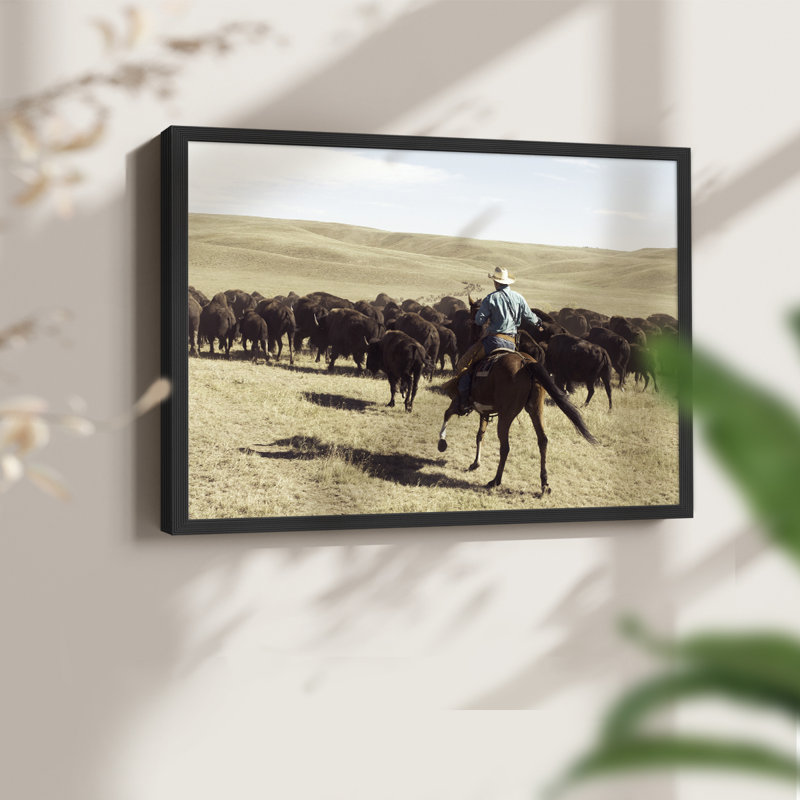 Bison Roundup - Reproduction encadrée - Restickable, H 8 po x l 10 po, Noir, noir, noir, noir