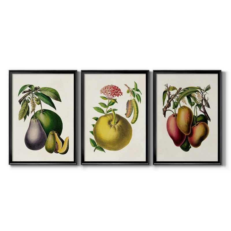 Fruit of the Tropics IV - Toile tendue avec châssis sur mesure - 3 pièces, H 27 po x l 39 po