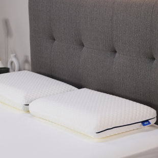 Cool Revolution Pillow