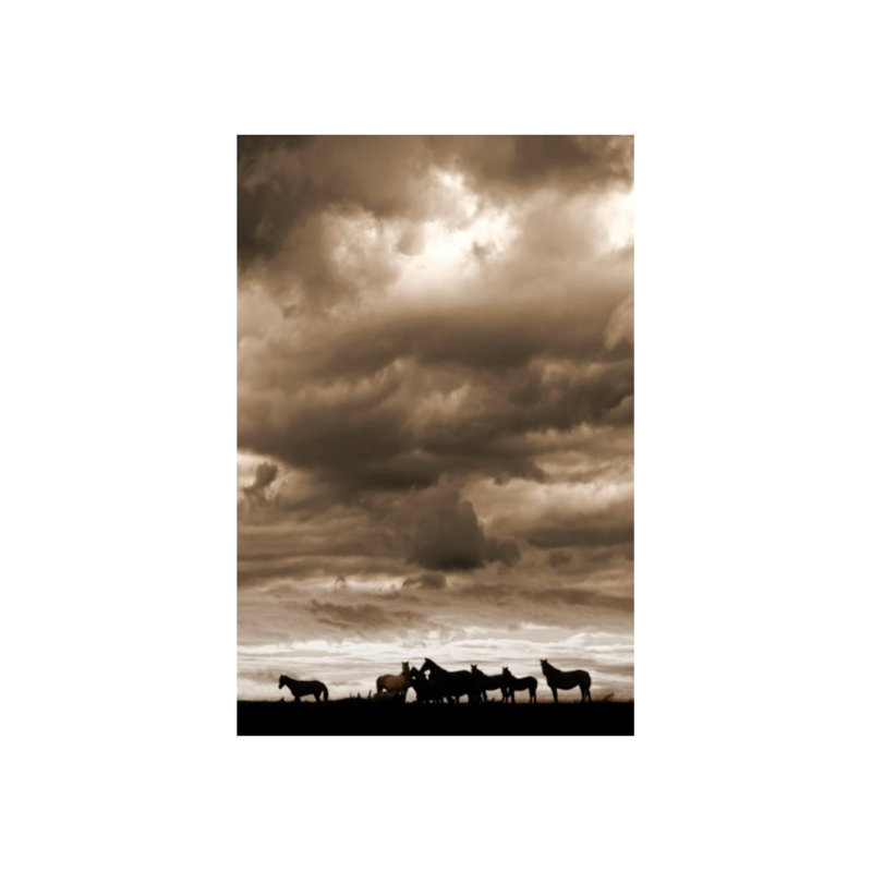 «Quiet Horizon» par Zoey Riley - photographie, H 71 po x l 47 po, Mat