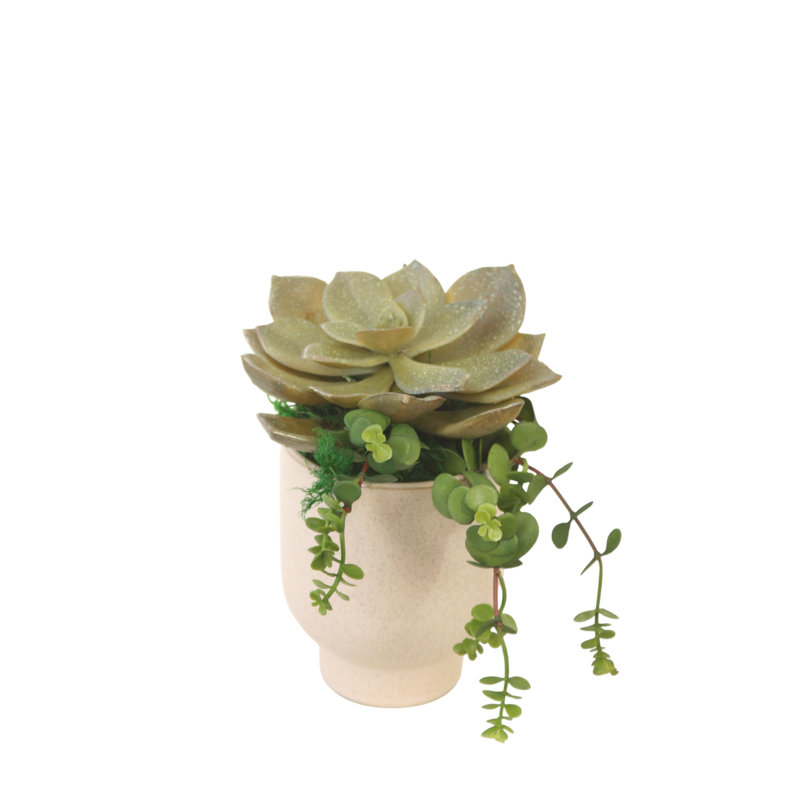 Pot à fleurs Starburst