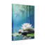Abstract White Lotus On Stone With Bamboo Background