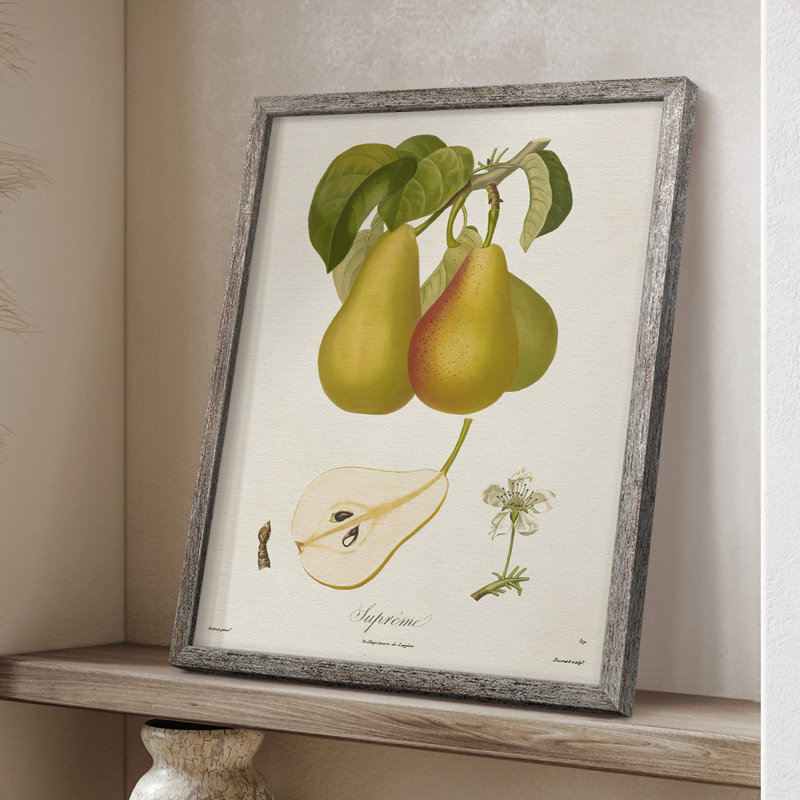 Vintage Pears V, reproduction encadrée - bois massif, H 21 po x l 17 po
