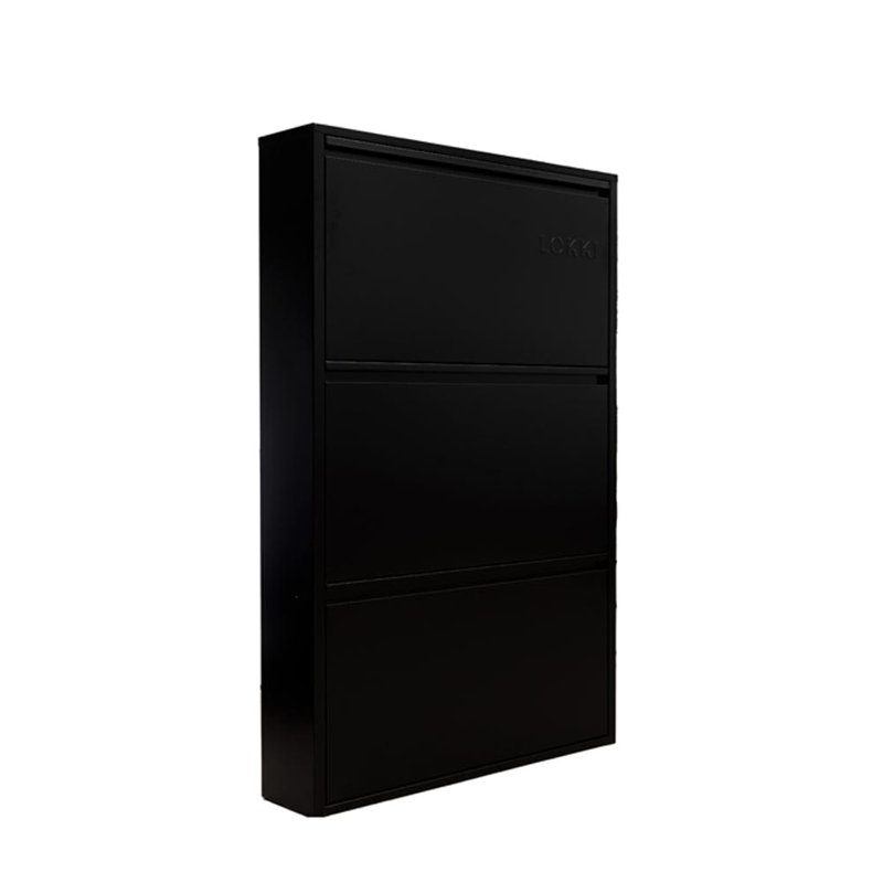 Cathelene 6 Pair Shoe Storage Cabinet, Black