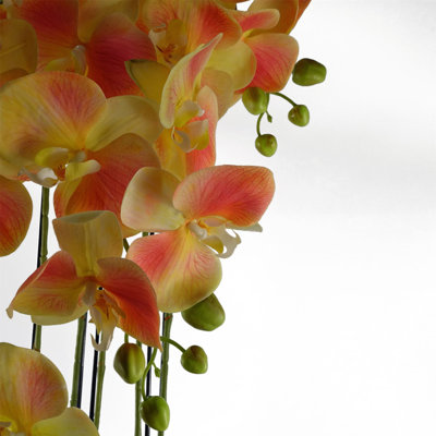 Real Touch Artificial Orchids Plastic, Silk Artificial Arrangement in Planter