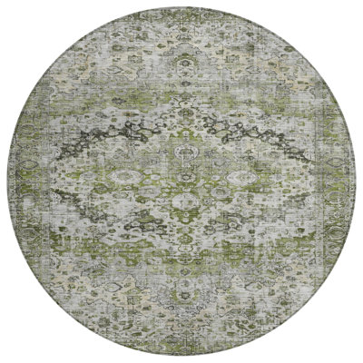 Machine Washable Indoor/Outdoor Xhevrie Aloe Rug