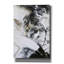 «Black and White 1» par Design Fabrikken, estampe numérique sur toile-698994506