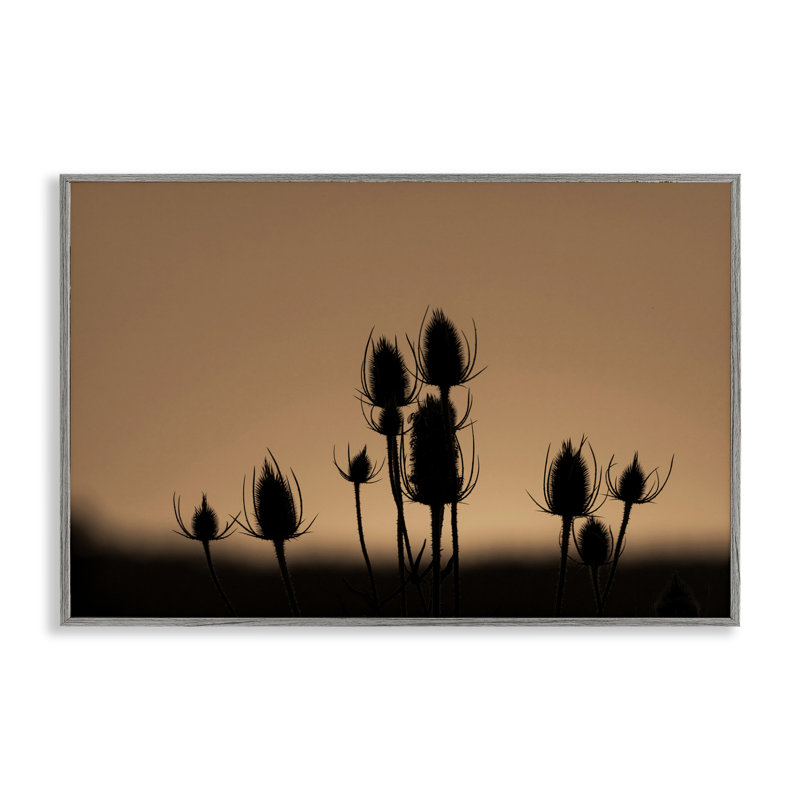 «Botanical Sprigs Silhouettes», estampe numérique par Nancy Crowell, Estampe numérique Farmhouse, H 20 po x l 30 po