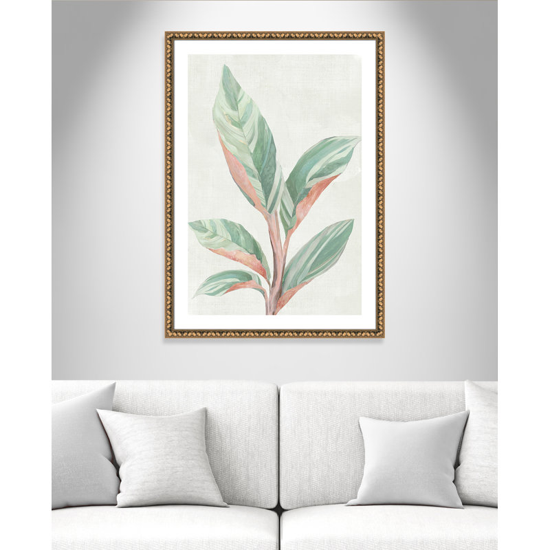 Gingembre II - reproduction d'art, Papier avec cadre à perles dorées, H 41,5 po x l 29,5 po x P 1,125 po
