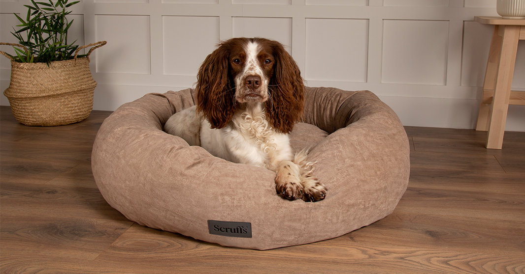 Scruffs® Oslo Donut Bed Desert Sand