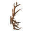 Antlers 5 - Light Candle Wall Light