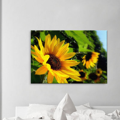 Sunflower - Canvas Photo Prints on Canvas