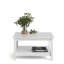 Cynteria Four Leg Coffee Table with Storage-407415385