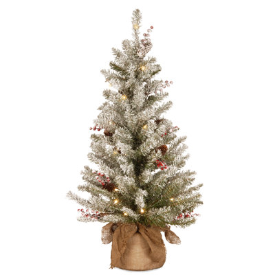 The Holiday Aisle® 3ft. Dunhill Fir Tree with LED Lights