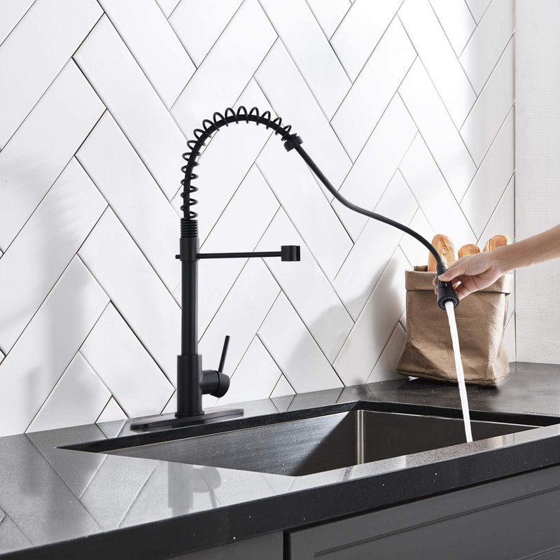 Robinet de lavabo de cuisine Spring